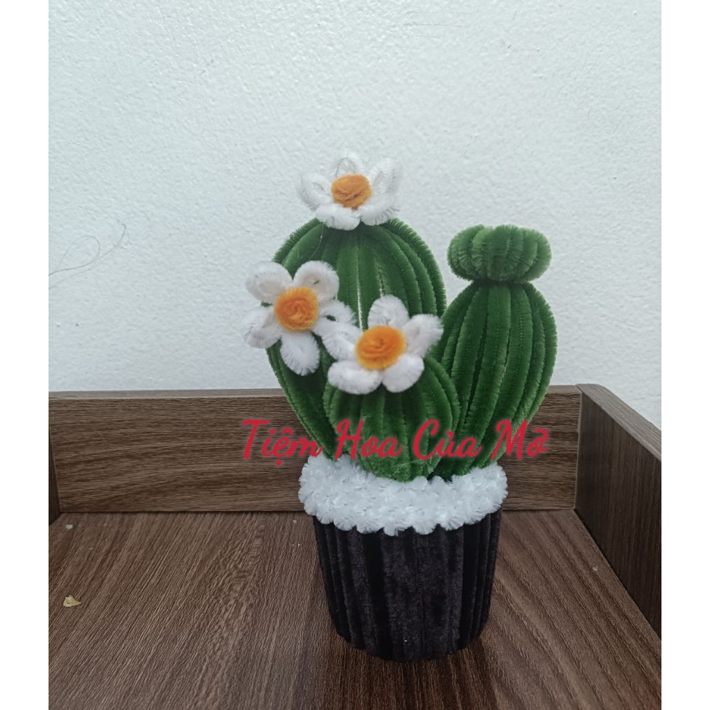 Chậu Xương Rồng Kẽm Nhung Mini Decor, Quà Tặng Siêu Xinh