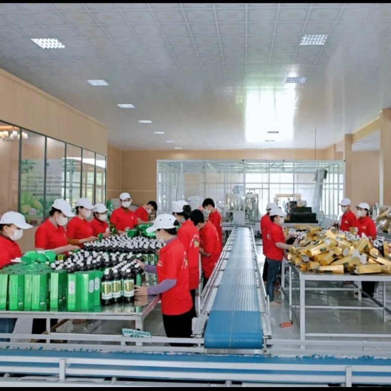 Nước cốt nhàu dược liệu loại đặc biệt Phong Thảo hộp 1 lít
