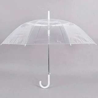 combo Ô trong suốt cầm tay, dù trong che nắng mưa , deco chụp ảnh siêu đẹp sống ảo