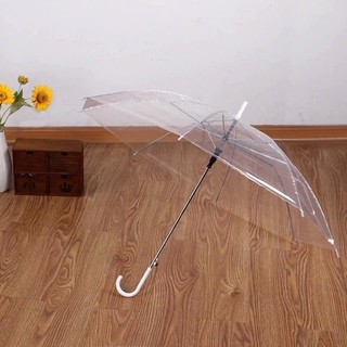 combo Ô trong suốt cầm tay, dù trong che nắng mưa , deco chụp ảnh siêu đẹp sống ảo