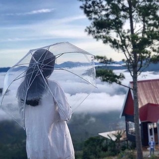 Ô trong suốt phong cách hàn quốc