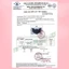 Túi 10 cái Khẩu Trang Chống Nắng KF30+ chống tia UV 96% nhiều màu Xanh Rêu hiệu BISOU