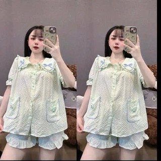 Bộ đũi đùi cỏ bèo nơ hoa túi