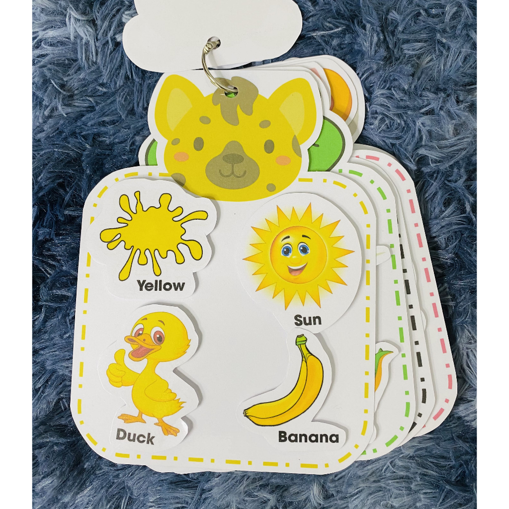 Bộ Học Liệu Màu Sắc Bóc Dán - Đồ Chơi Montessori Giúp Bé Phát Triển Tư Duy và Học Từ Vựng Tiếng Anh