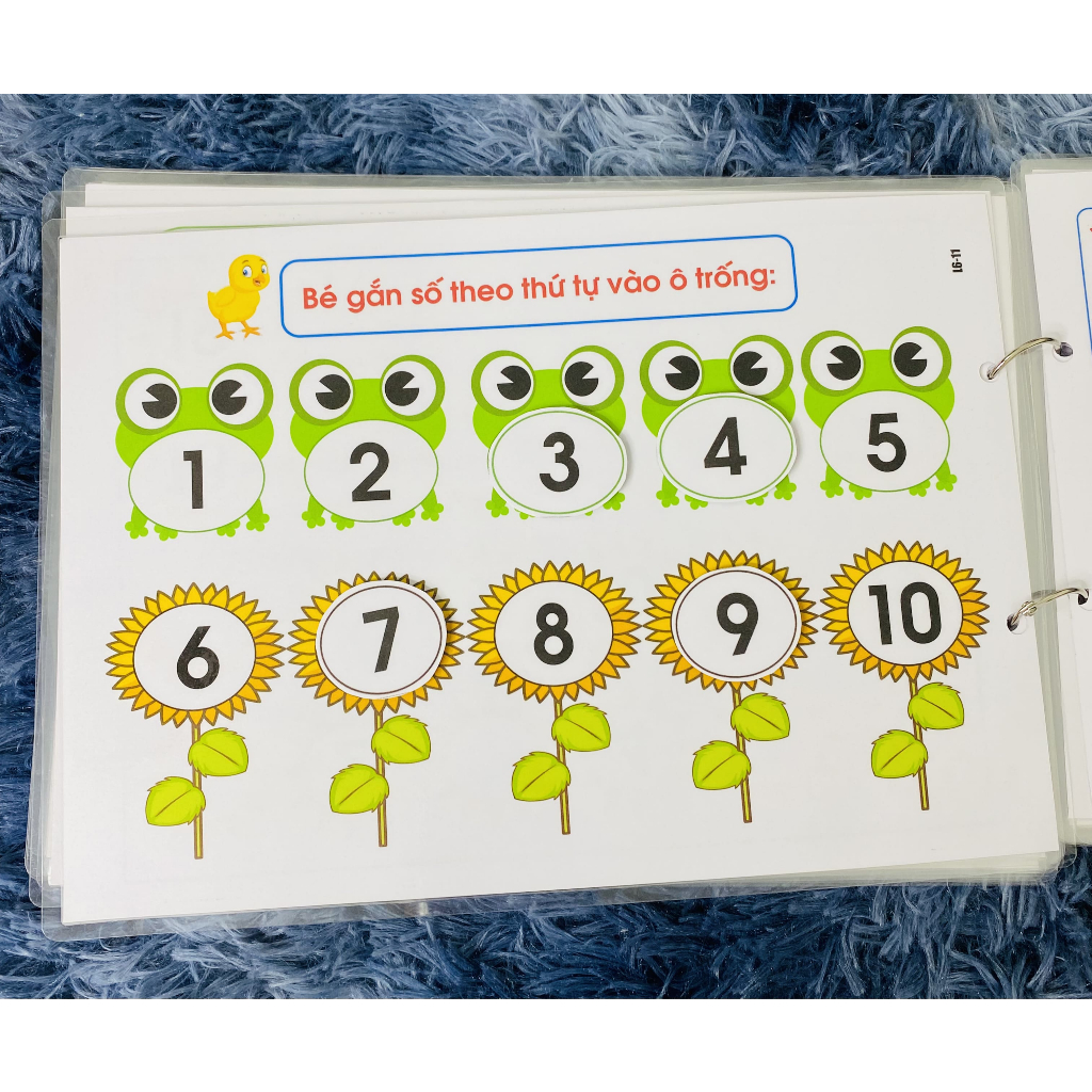 Bộ Học Liệu Bóc Dán Montessori, Đồ Chơi Toán Học Nâng Cao, Phát Triển Tư Duy Từ Sớm Cho Bé 3-6 Tuổi