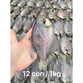 Khô Cá Sặc Bổi 500G - 3 Nắng Vị Lạt đủ Size - Hút Chân Không - Vị Thơm Béo - Đặc Sản cà Mau