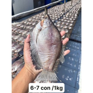 Khô Cá Sặc Bổi 500G - 3 Nắng Vị Lạt đủ Size - Hút Chân Không - Vị Thơm Béo - Đặc Sản cà Mau