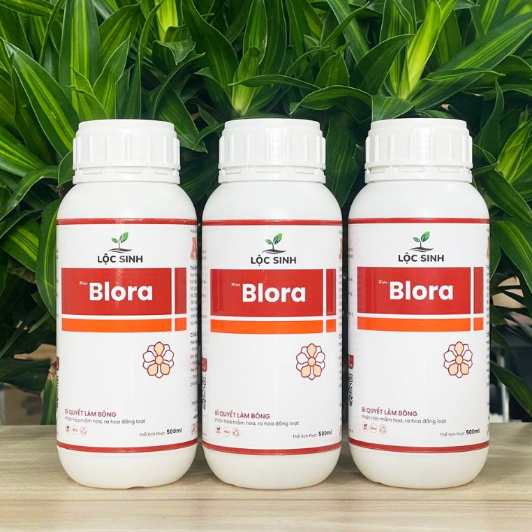 BLORA, Phân hóa mầm ra, ra hoa đồng loạt 500ml
