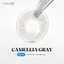 Kính áp tròng khoá ẩm 16H 1 Tháng Màu Xám Khói CARASE, Lens cận CAMELLIA GRAY