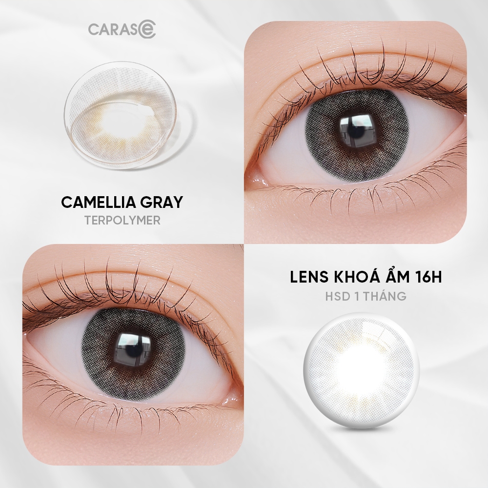 [1 chiếc] Kính áp tròng khoá ẩm 16H 1 Tháng Màu Xám Khói CARASE, Lens cận CAMELLIA GRAY