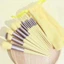 Bộ Cọ FIX Trang Điểm 13 Món Makeup Cá Nhân Chuyên Nghiệp Màu Xanh Vàng Nội Địa Trung