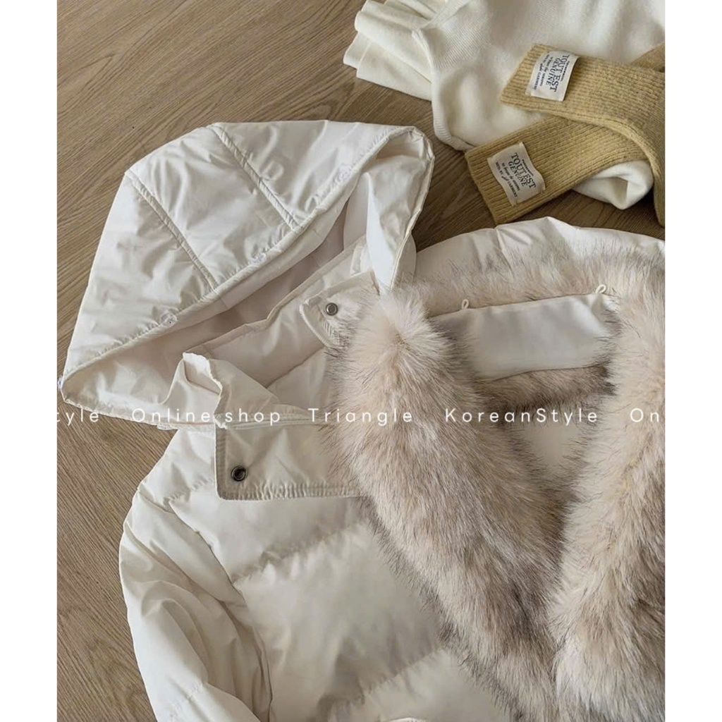 TRIANGLE - Young Puffer Jacket (form bé) (Cân nhắc kỹ, return is not welcomed) Áo khoác phao mũ lông Hàn Quốc lót lông