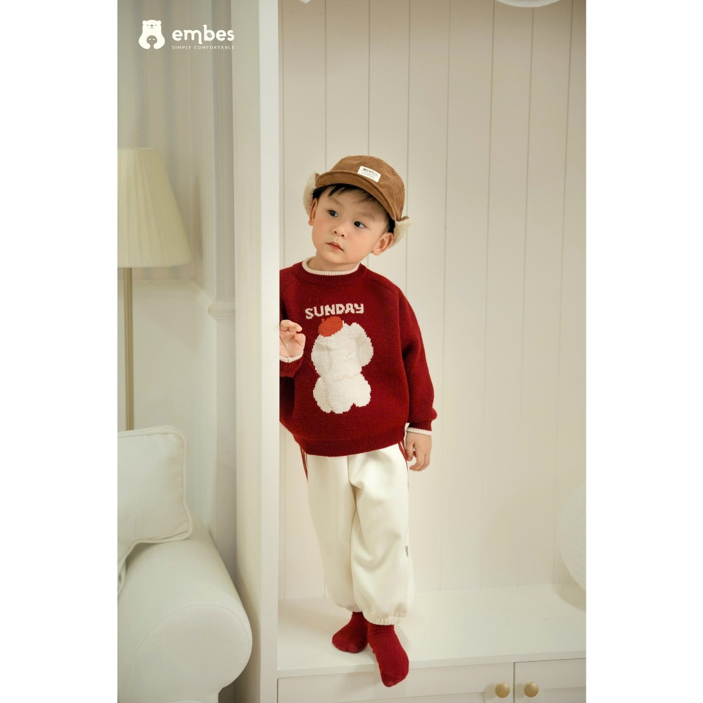 Áo Len Cho Bé Embes, Áo Len Dài Tay In Hình Chất Len Dệt Kim Dày Dặn Cho Bé Trai Bé Gái Từ 8-18Kg