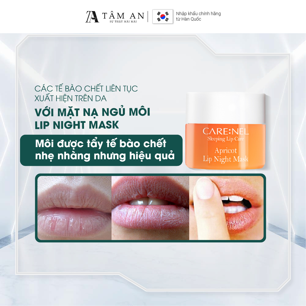 Mặt nạ ngủ môi tẩy tế bào chết môi dưỡng môi mơ CARE:NEL APRICOT LIP NIGHT MASK 5g