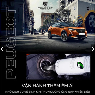 DUNG DỊCH BUỒNG ĐỐT CHO XE PEUGEOT CHÍNH HÃNG Unik+ Essence Cleaner 300ml