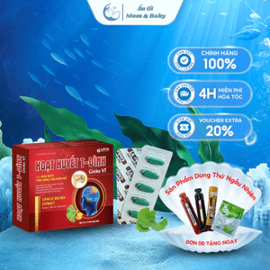 HOẠT HUYẾT T_ĐÌNH GINKGO BILOBA ETRACT ( Hỗ trợ tăng cường tuần hoàn máu não)