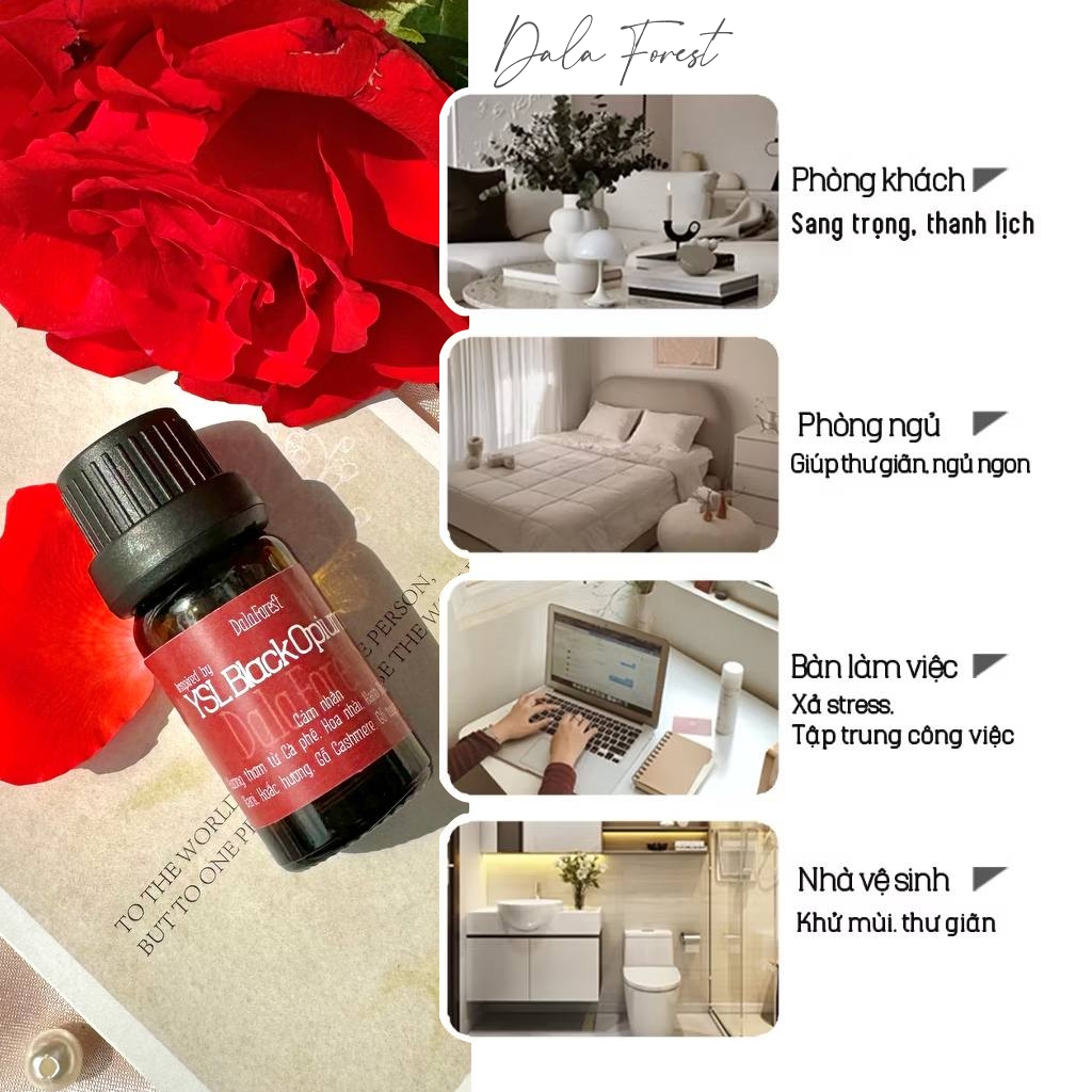 Lọ Tinh Dầu Tiêu Chuẩn - Tinh dầu Black Opium