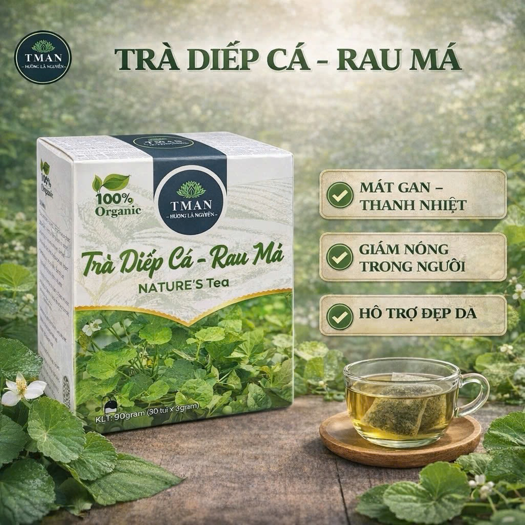 Trà Diếp cá Rau má (Hộp 30 túi lọc x 3gram) Thảo mộc tốt cho sức khỏe ...