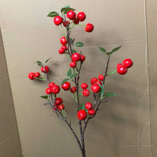 cành táo cherry rừng 1m ,hàng thân xanh