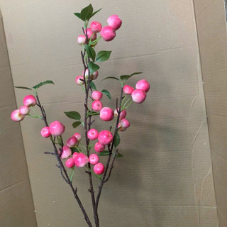 cành táo cherry rừng 1m ,hàng thân xanh