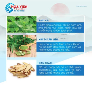 Bổ Phổi Gold Zincacool - Hỗ Trợ Bổ Phổi, Giảm Ho, Giảm Đờm, Giảm Đau Rát Họng. Hộp 30 Viên