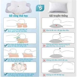 Gối Ngủ Cao Su Non Cao Cấp SOFTURE Thiết Kế Công Thái Học, Ngủ Ngon Mọi Tư Thế, Giảm Đau Cổ Vai Gáy - SGN01
