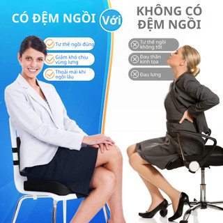 Bộ Đệm Lót Ghế Và Gối Tựa Lưng Công Thái Học Cao Cấp SOFTURE Giảm Đau Mỏi Lưng, Thần Kinh Toạ - SCB01