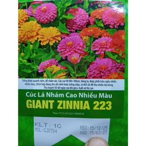 HẠT GIỐNG CÚC LÁ NHÁM NHIỀU MÀU ZINNIA - DỄ TRỒNG, NHANH CÓ HOA