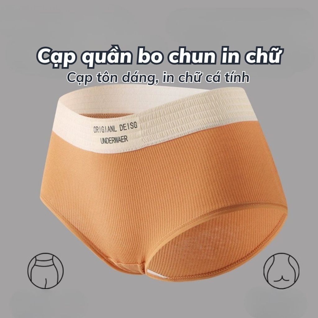 Combo 5 Quần lót nữ cotton kháng khuẩn cạp vừa tôn dáng, Quần chip nữ thun lạnh gân tăm LANIXA L1226