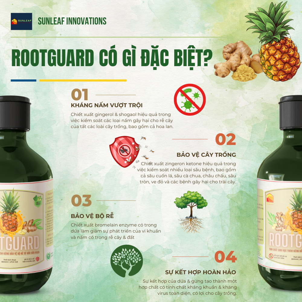 Combo Phòng Rệp Sáp Bọ Trĩ Nhện Đỏ | Nấm Lá, Dưỡng Lá Phục Hồi | 100% Hữu Cơ | Rau, Phong Lan, Hoa Hồng | SUNLEAF