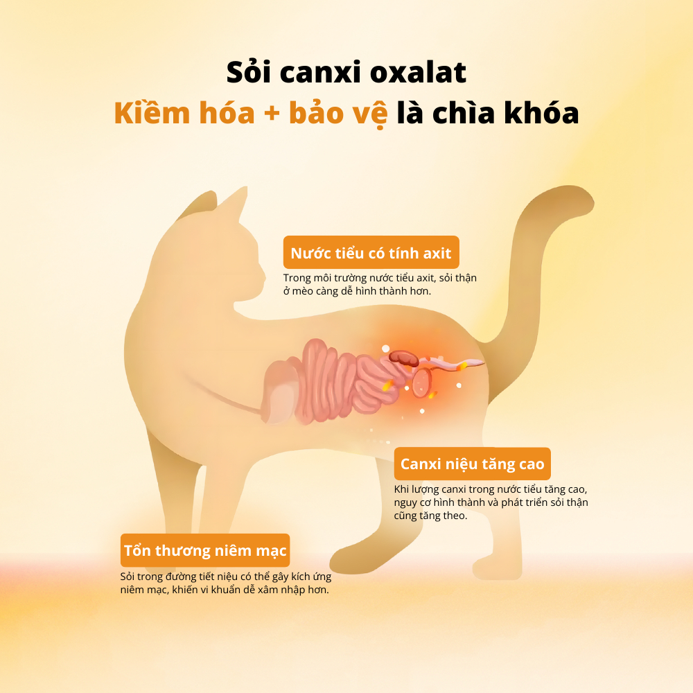 Viên Uống Chăm Sóc Đường Tiết Niệu Cho Thú Cưng DrVet - Vàng