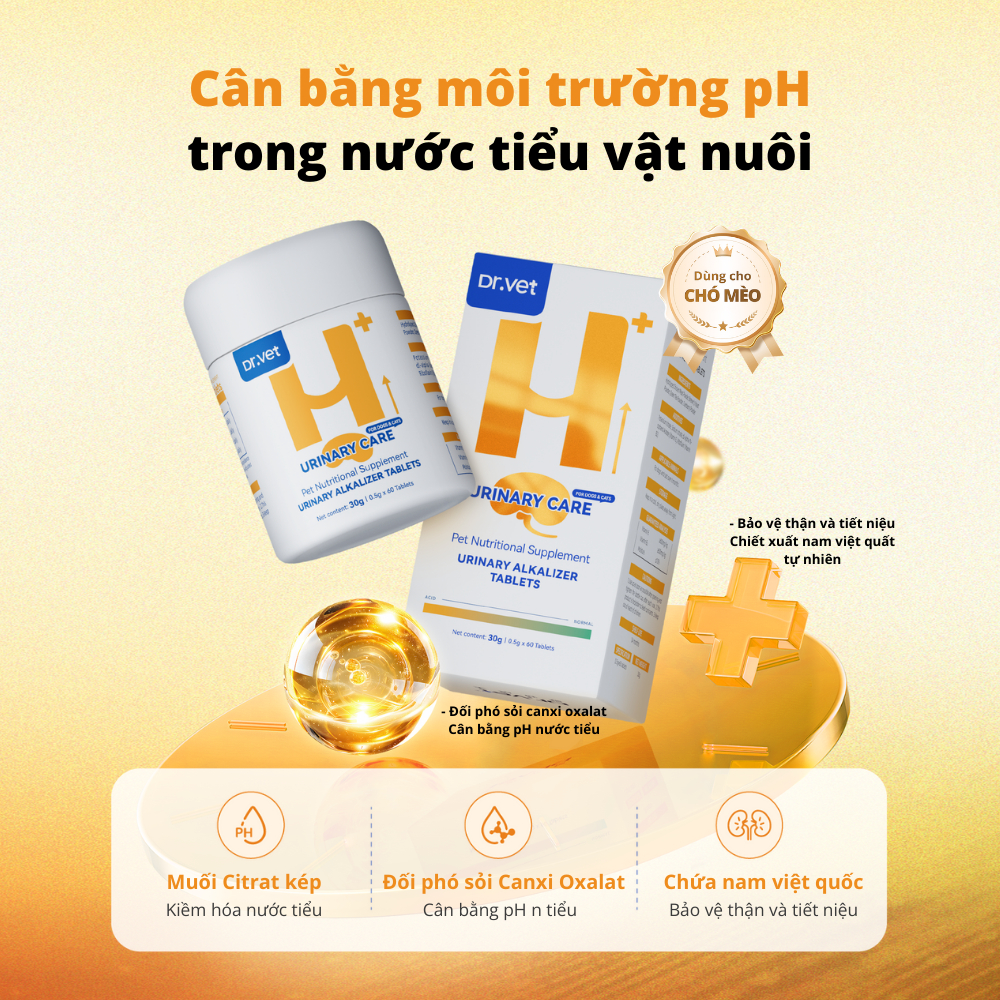Viên Uống Chăm Sóc Đường Tiết Niệu Cho Thú Cưng DrVet - Vàng