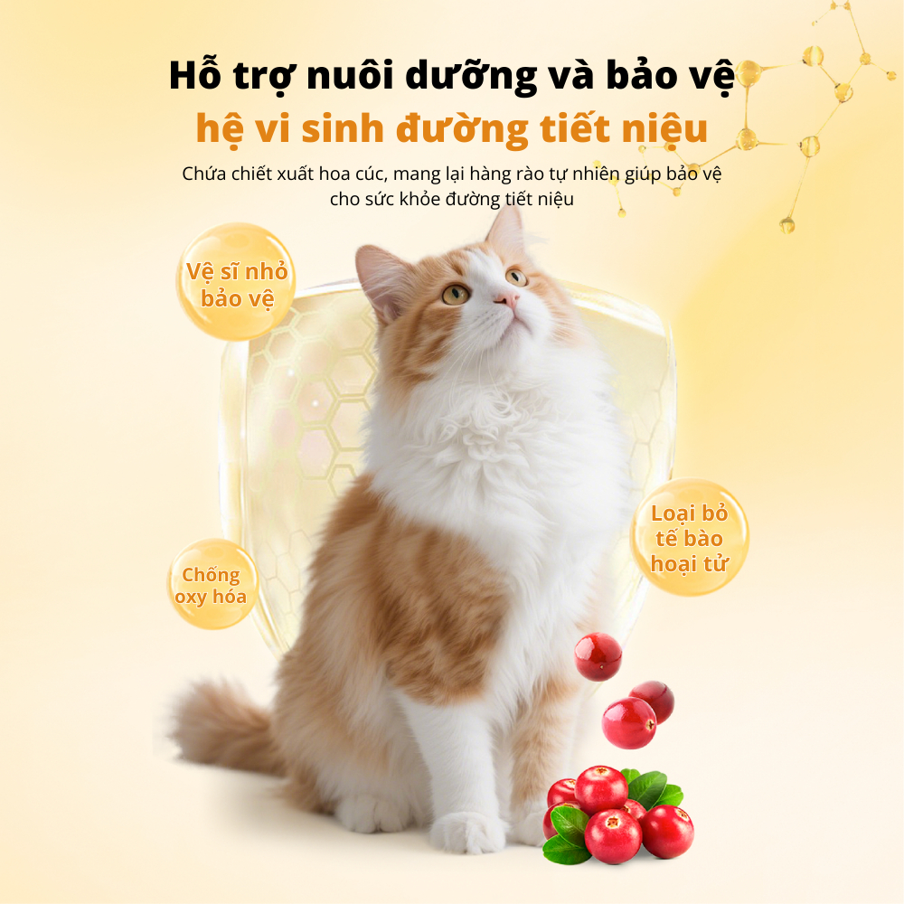 Viên Uống Chăm Sóc Đường Tiết Niệu Cho Thú Cưng DrVet - Vàng