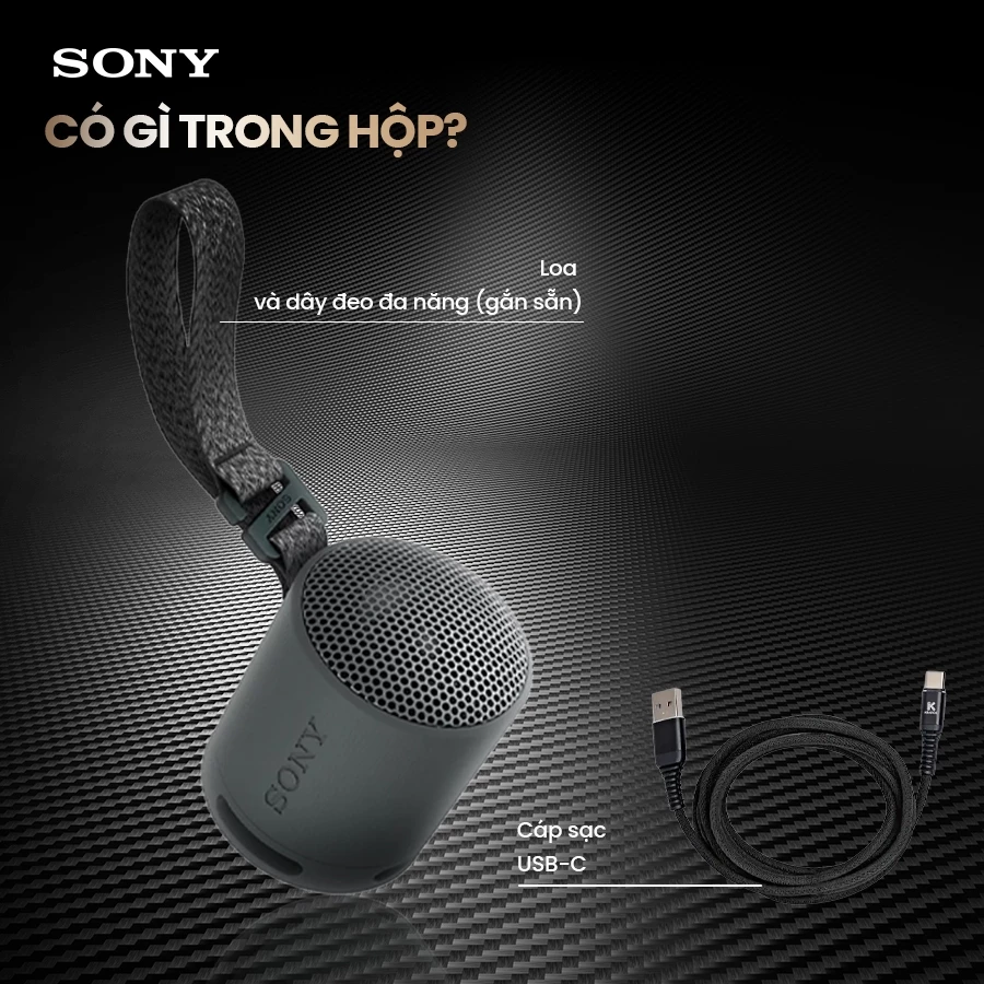 Loa bluetooth mini Sony SRS-XB100 kháng nước IP67 pin 16 giờ bass mạnh mẽ