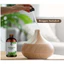 Tinh dầu húng quế nguyên chất 100% NaturoBliss Basil Essential Oil