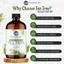 Tinh dầu Tea Tree Essential Oil 113ml giúp tăng cường và chăm sóc da.NaturoBliss