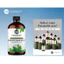 NaturoBliss Cedarwood Essential Oil 113ml TINH DẦU GỖ TUYẾT TÙNG NGUYÊN CHẤT