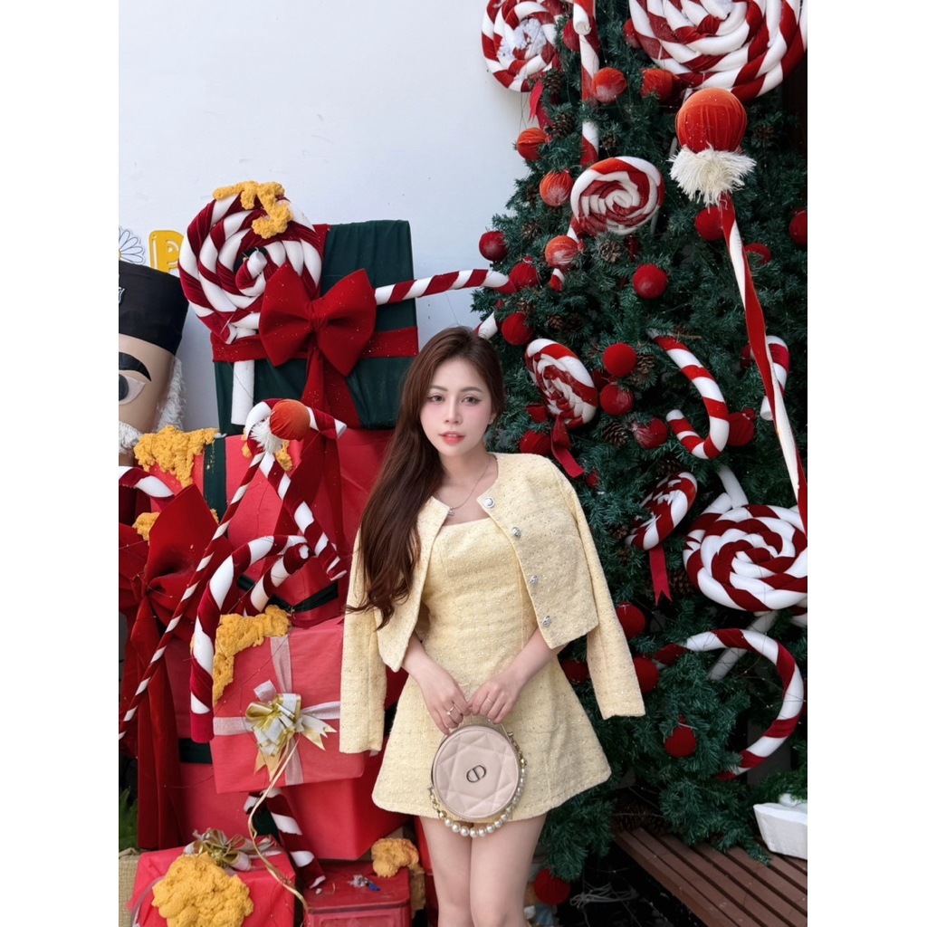 [Sẵn] Set 2 chi tiết, váy dạ phối túi S191 SM hồng, vàng
