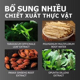 Kreain Nature Gel Tuyến Tiền Liệt Nam Giới Greenvibes Hỗ Trợ Thư Giãn Cơ Thể, Giảm Cảm Giác Khó Chịu