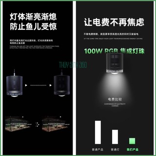 Đèn Rọi Mayin Super Colour - Điều Chỉnh Dimmer - Đánh Mầu Siêu Nét - Cho Bể Cá Cảnh, Thủy Sinh
