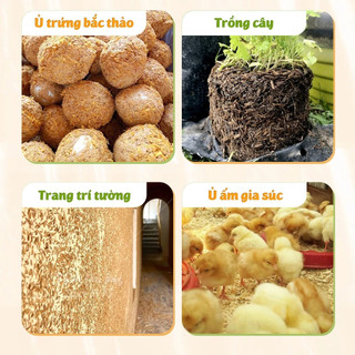 Trấu/Vỏ Trấu/Trấu Sống Sạch Đã Qua Xử Lí An Toàn Cho Cây Trồng, Không Sử Dụng Chất Độc Hại