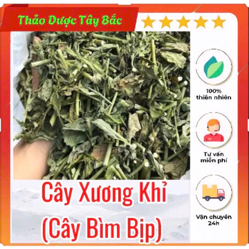 Trà Cây Xương Khỉ Và Cây Xạ Đen Khô-Hàng Loại 1(Khô, Sạch, Thơm) - Hỗ Trợ Ung_Thư.Trà Tiêu U Hạch Nhân Bướu