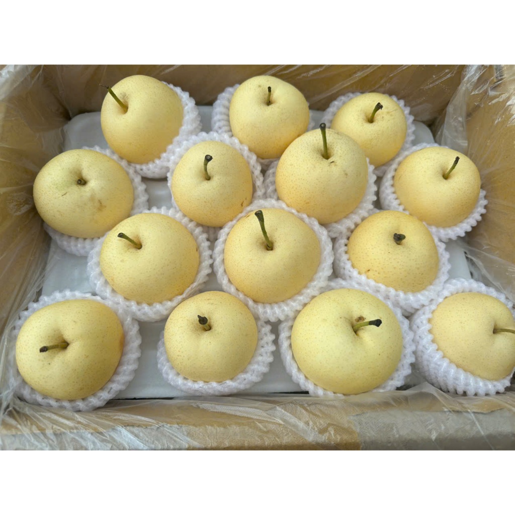 [ Chỉ Giao HCM ] Lê Sữa Nhật - Giòn Ngọt, Bóng Đẹp 1KG