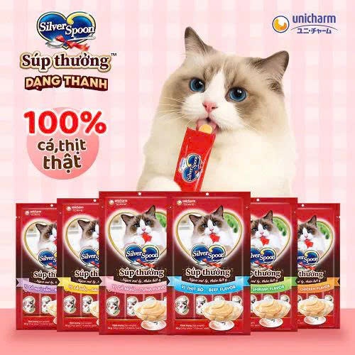 Combo 24 Gói Súp Thưởng SILVER SPOON Cho Mèo thượng hạng (Túi 4 gói*14g)
