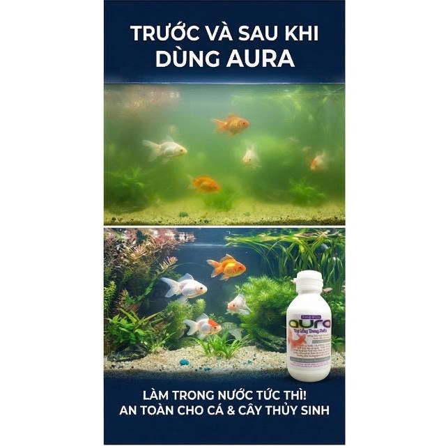 Hổ Trợ Trong Nước Hồ Thủy Sinh - AURA