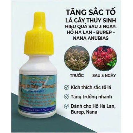 Tăng Trưởng Sắc Tố Lá Thủy Sinh Hiệu Quả Sau 3 ngày Hồ Hà lan - Burep - Ráy Nana