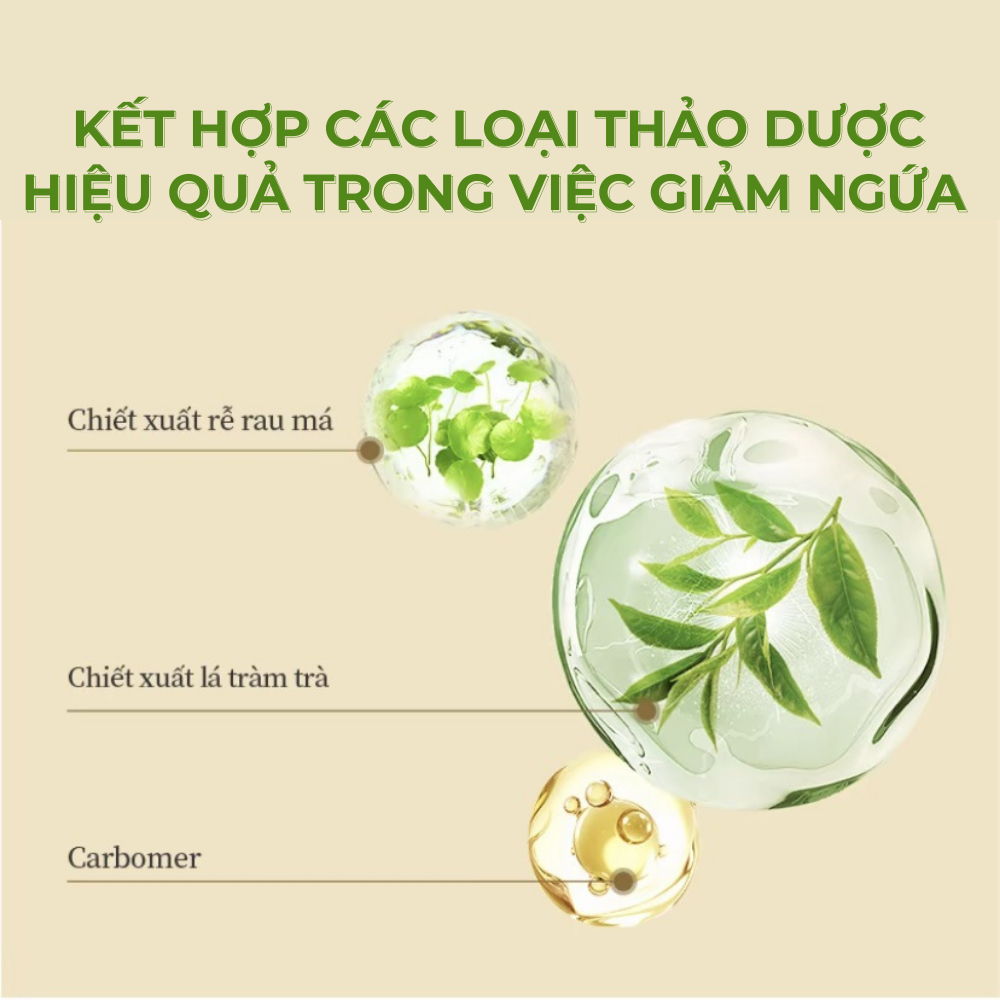 Kem Bôi Tiêu Chuẩn - Kem bôi da nhạy cảm