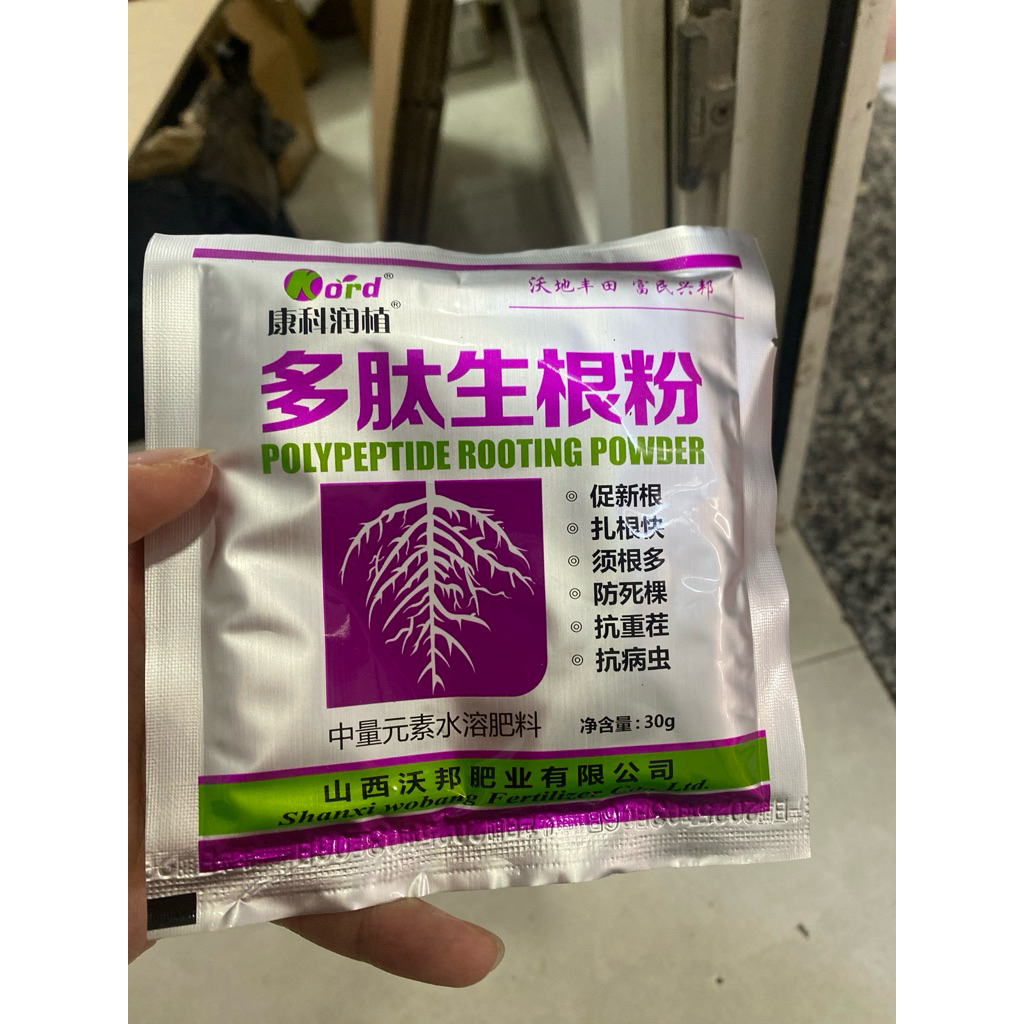 10 gói Bột kích rễ hàng nội địa Trung Quốc Polypeptide Rooting Powder ...