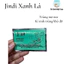 JINDI GÓI XANH LÁ BỆNH RẬN TRÙNG MỎ NEO CHO CÁ