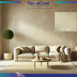 Sơn hiệu ứng bê tông ECO TEXACOAT màu be chống thấm, chống ẩm mốc, nứt chân chim bền màu, sơn nội thất, ngoại thất